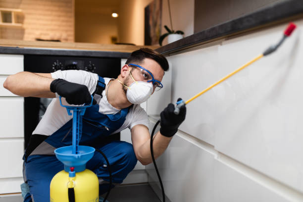 Wasp Removal Services in Taneytown, MD