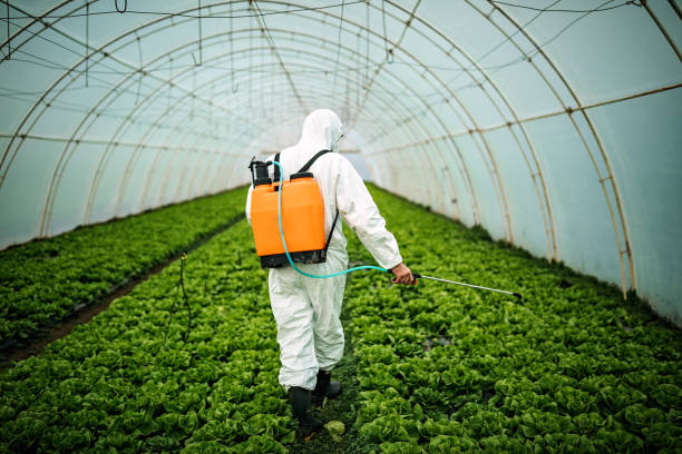 Best Pest Removal Services  in Taneytown, MD