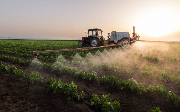 Best Mosquito Control Services  in Taneytown, MD